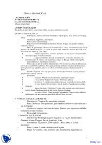 de Magnoliales, Aristolochiaceae, Lauraceae y Nymphaeaceae