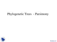 Phylogenetic Trees Parsimony-Phylogentics-Lecture Slides