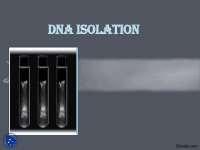 DNA Isolation-Human Genetics-Lecture Slides