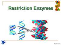 Restriction Enzymes-Biological Reactions-Lecture Slides