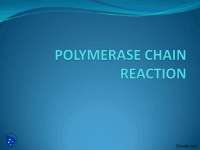 Polymerase Chain Reactions-Biological Reactions-Lecture Slides