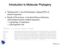Introduction to Molecular Phylogeny-Phylogentics-Lecture Slides