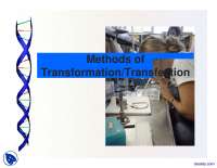 Methods of Transformation-Genetic Programming-Lecture Slides