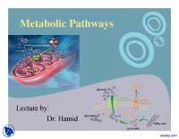 Metabolic Pathways Part 1-Advanced Systems Biology-Lecture Slides