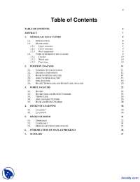 Digger-Applied Physics-Project Report