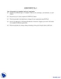 MS Word, MS Excel-Introduction to Computers-Assignment