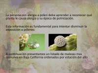 Malezas Mas Alérgicas de México - Alergología - Diapositivas - Universidad Autónoma de Baja California - Parte 2