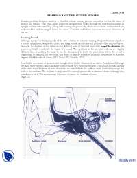 Sensing Sound and Other Senses-Experimental Psycology-Lecture Handout