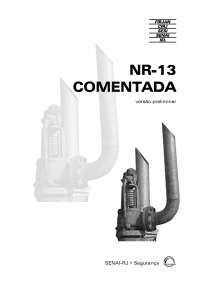 NR-13COMENTADA versão preliminar SENAI-RJ2003