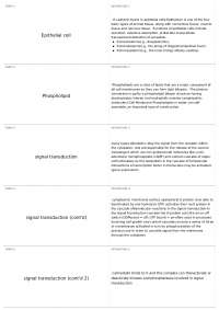 Cell Biology: Epithelial Cells, Phospholipids, Signal Transduction, and Cell Growth