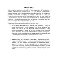 Tecidos Vegetais