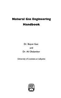 Guo Ghalambor Natural Gas Engineering Handbook Manual De Gas Natural Docsity