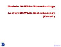 White Biotechnology: Production of Chiral Compounds through Enzymatic Processes