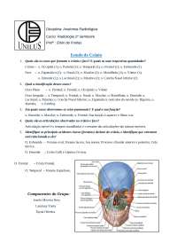 Exercícios de Anatomia Radiológica - Crânio