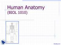 Anatomy - Anatomy - Lecture Slides