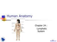Classification of Lymphatic System - Anatomy - Lecture Slides