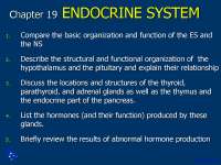 Functions of Endocrine System - Anatomy - Lecture Slides