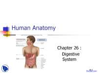 Structure of Digestive System - Anatomy - Lecture Slides