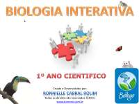 Sais Minerais