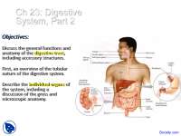Functions of Anatomy - Anatomy - Lecture Slides