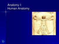 Human Anatomy - Anatomy - Lecture Slides