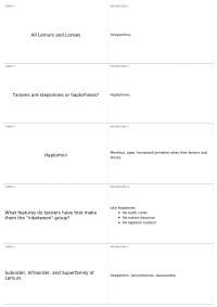 Primate Classification and Distinguishing Features of Tarsiers and Lemurs