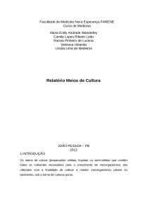 relatorio meios de cultura