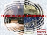 Toxicologia Ambiental trab