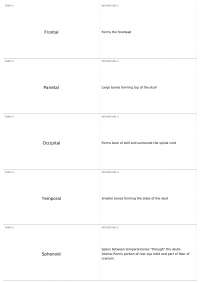 Anatomical Terms, Bones, and Sutures of the Human Skull and Body