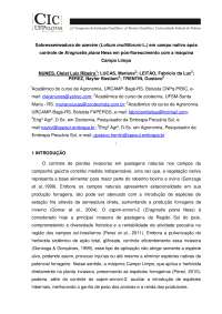 Controle de Capim-Anonni-2 em Pastagem Nativa com Máquina Campo Limpo: Produção de Azevém