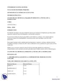 Cultivo de microalgas mediante masificación - Prácticas - Acuicultura - Ciencias del Mar
