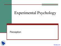 Perception - Experimental Psychology - Lecture Slides