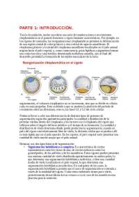 PARTE 1: INTRODUCCIÓN PARTE 2: SEGMENTACIÓN EN EQUINODERMOS PARTE