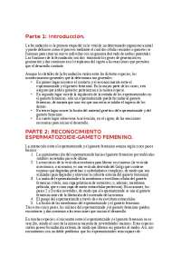 RECONOCIMIENTO ESPERMATOZO