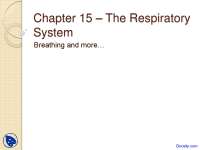 The Respiratory System - Biology - Lecture Slides - Docsity