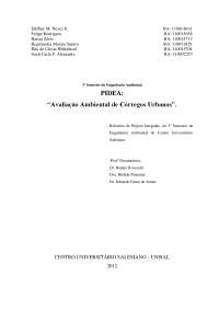 Relatorio PIDEA 3º Semestre