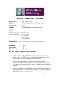 Vertebrate Brain - Evolutionary and Developmental Zoology - Exam