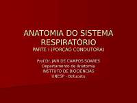 Anatomia do sistema respiratorio i