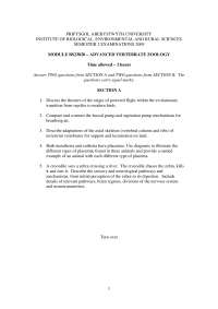 Advanced Vertebrate Zoology Exam, BS23820, Prifysgol Aberystwyth University, 2009