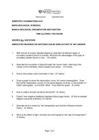 Biology Exam: Semester 2, 2010 - BS00510 - Organization & Function