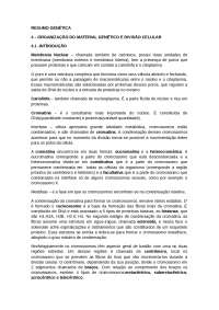 Organização do Material Genético e Divisão Celular