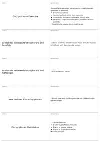 Onchyophorans: Pre-Annelid Animals and Similarities to Arthropods and Annelids