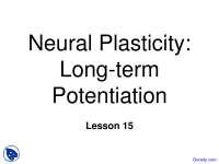 Long Term Potentiation, Neural Plasticity - Introduction to Neurology - Lecture Slides