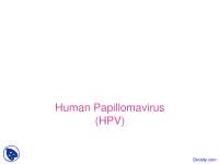 Human Papillomavirus - Dermatology - Lecture Slides
