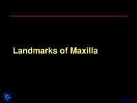 Landmarks of Maxilla - Dental Radiology - Lecture Slides