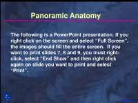 Panoramic Anatomy - Dental Radiology - Lecture Slides