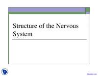 Structure of the Nervous System - Mind, Brain and Behaviour - Lecture Slides