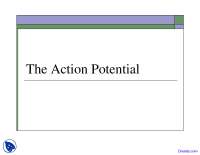 Action Potential - Mind, Brain and Behaviour - Lecture Slides