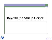 Beyond the Striate Cortex - Mind, Brain and Behaviour - Lecture Slides