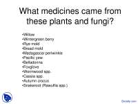 Medicines and Supplements Derived from Plants and Fungi: A List and Reasons for Their Use